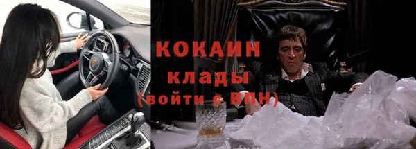 дмт Абаза
