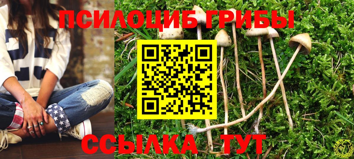Кумертау  Галлюциногенные грибы Magic Shrooms  Вход с VPN 