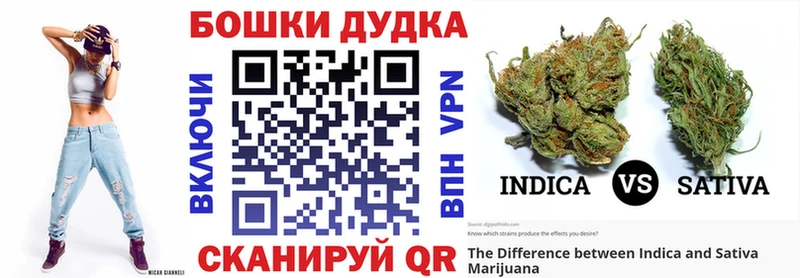 Бошки марихуана семена  блэк спрут ссылки  Кумертау 